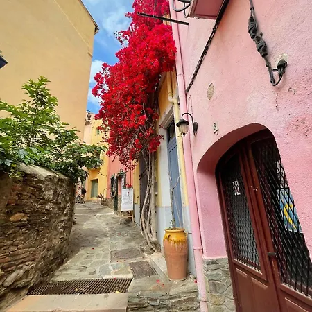4lam6-agreable 2 Chambres Et Parking Prive Collioure